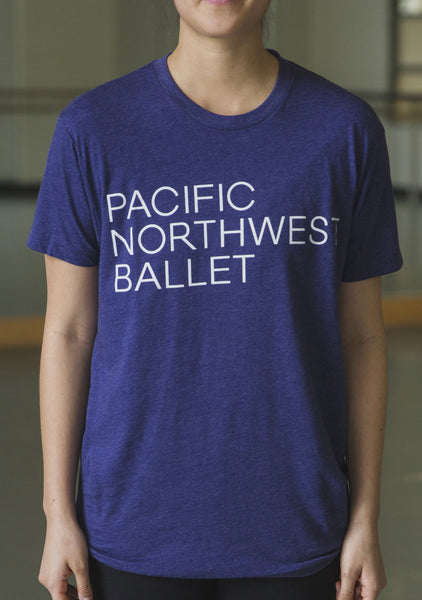 PNB Logo Unisex T-Shirt (multiple colors)